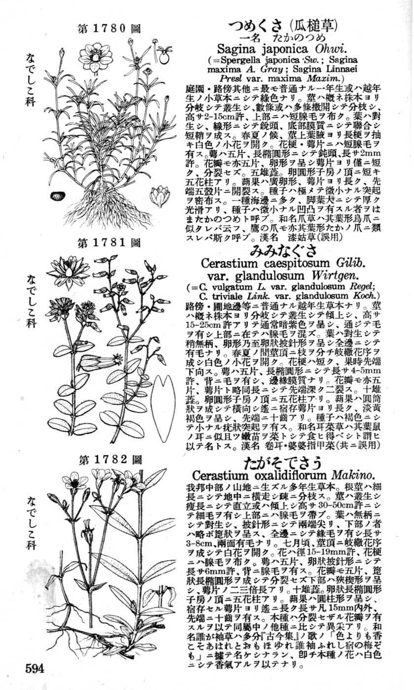 植物図鑑