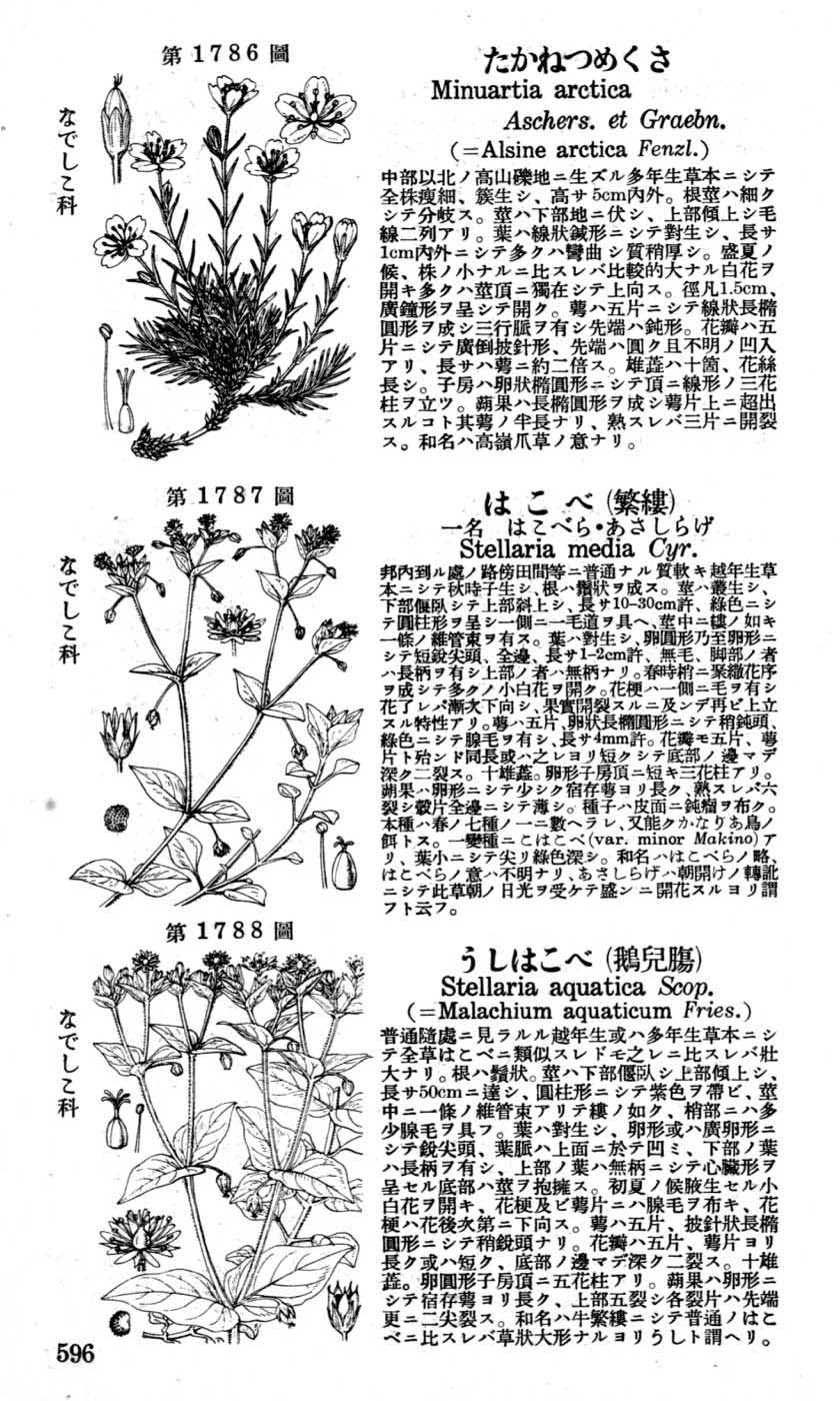 植物図鑑