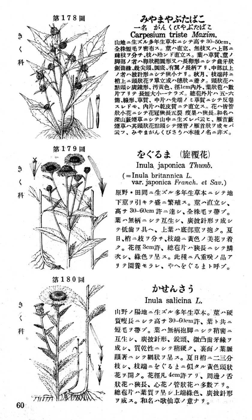 植物図鑑