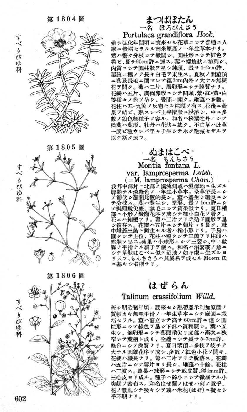 植物図鑑