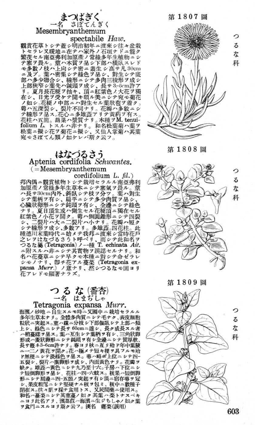 植物図鑑