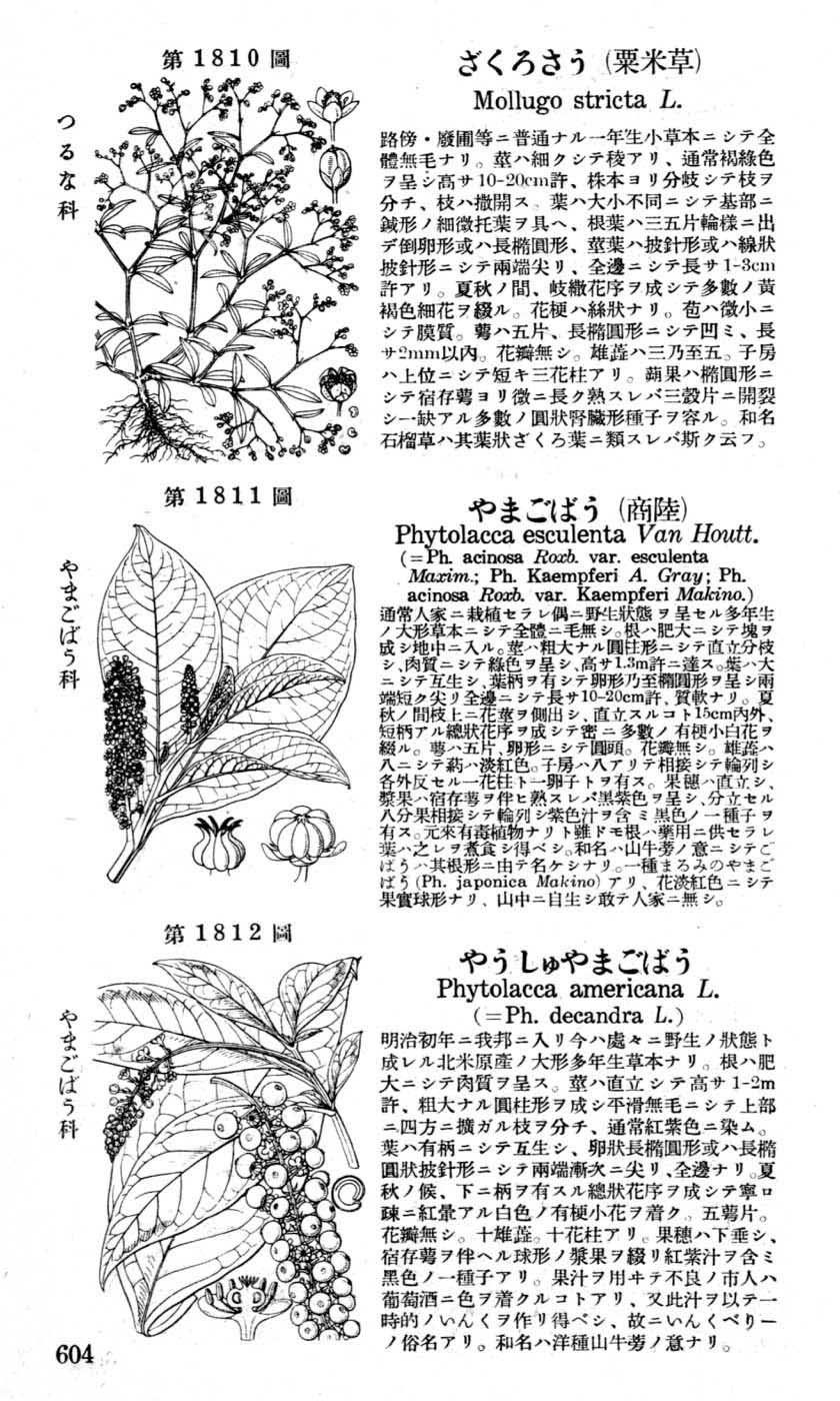 植物図鑑