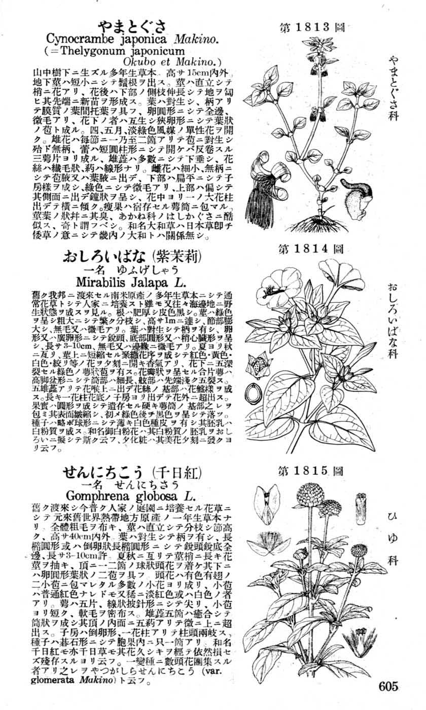 植物図鑑