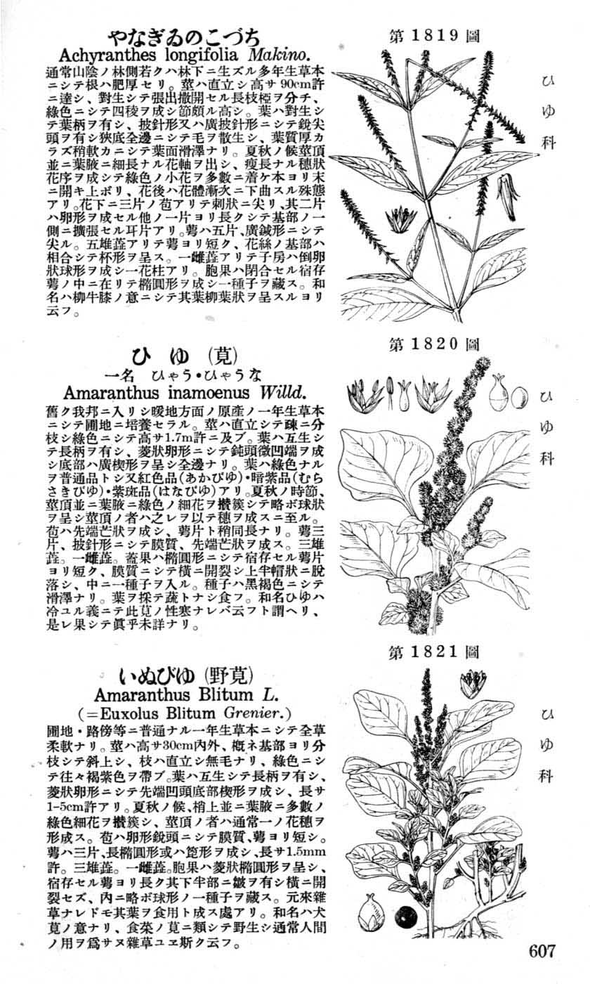 植物図鑑