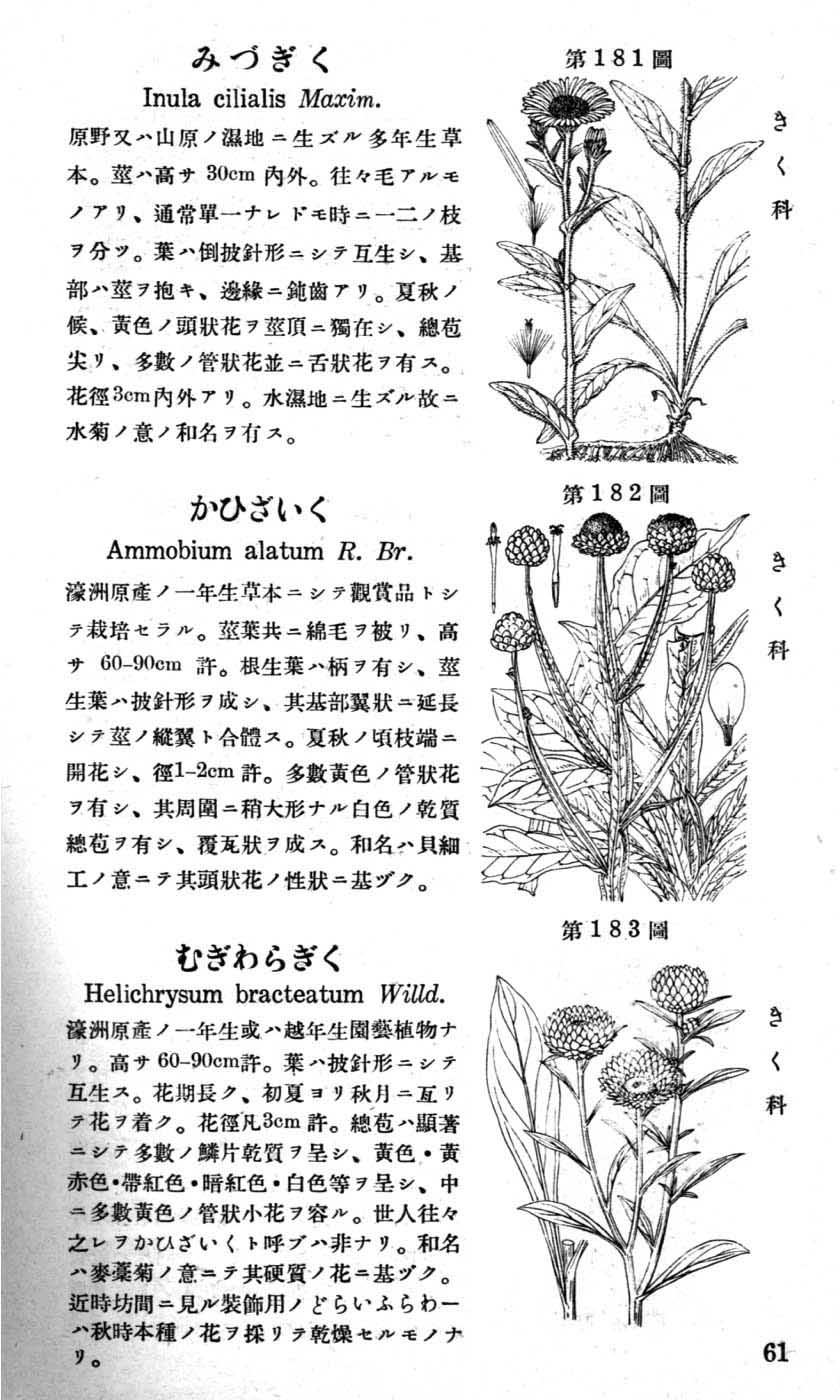 植物図鑑