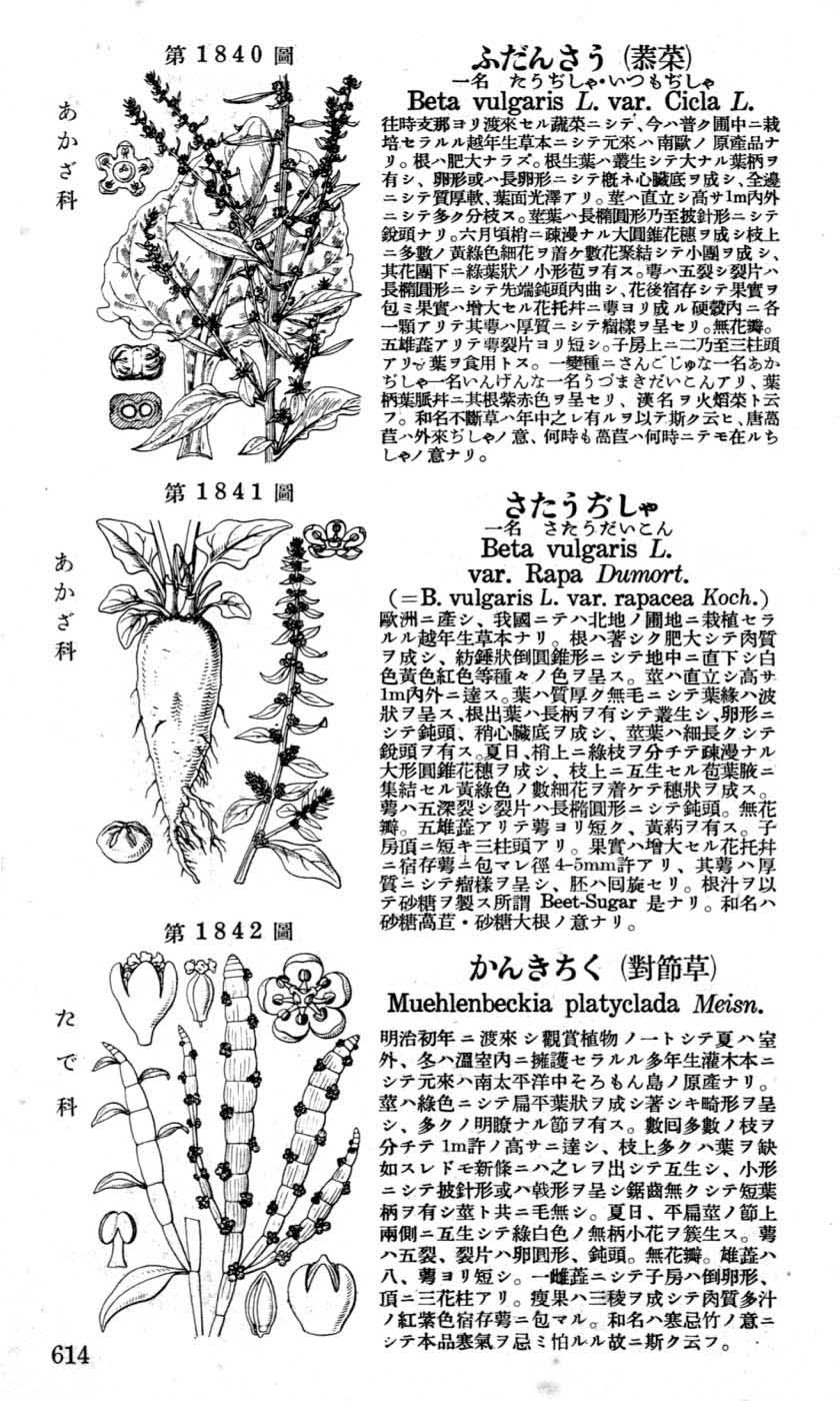 植物図鑑