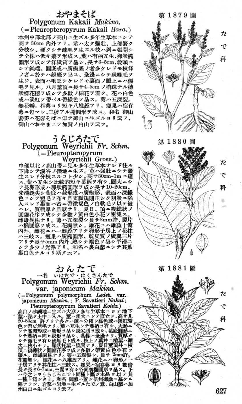 植物図鑑