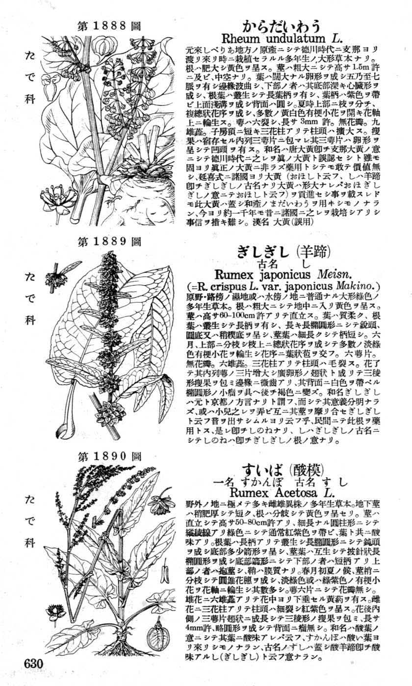 植物図鑑