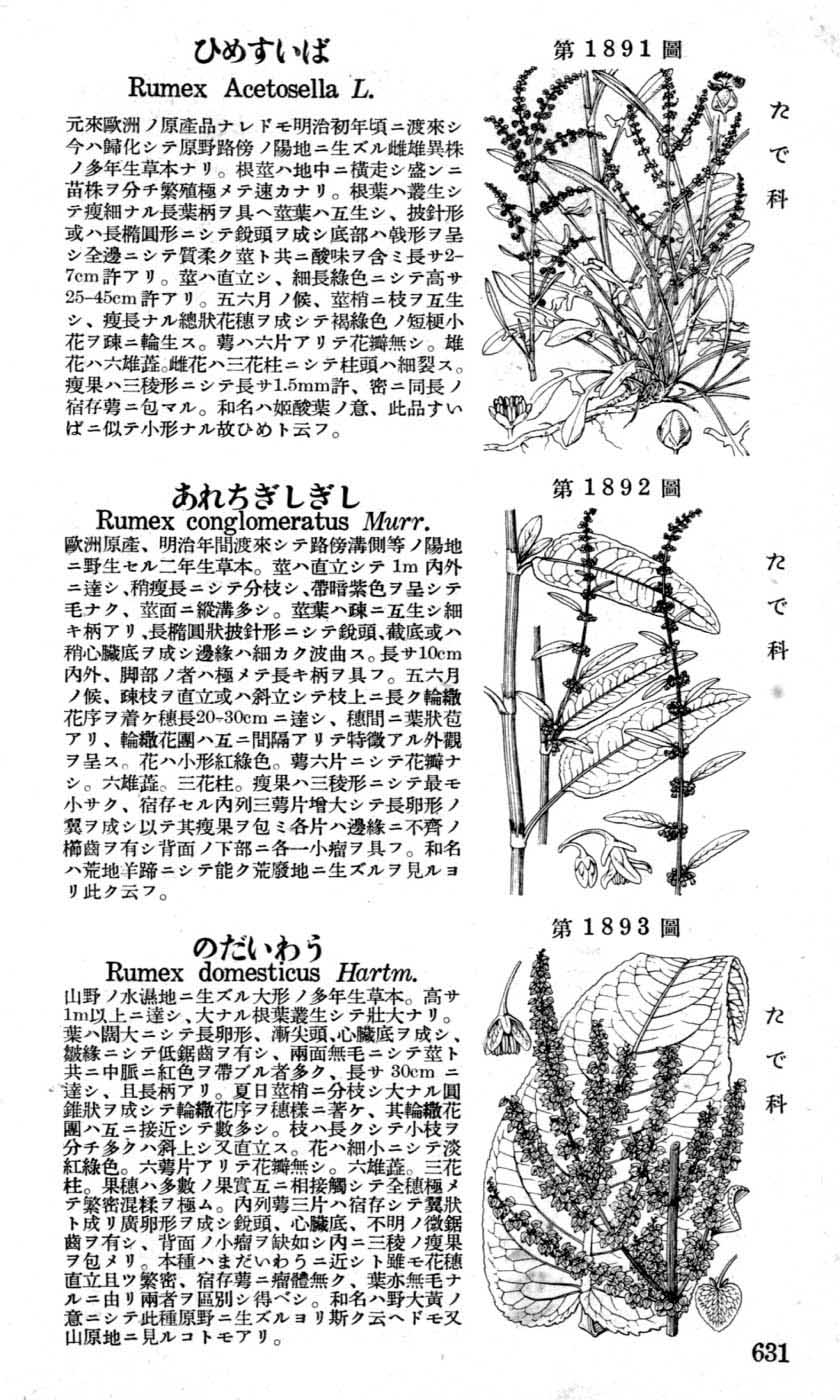 植物図鑑