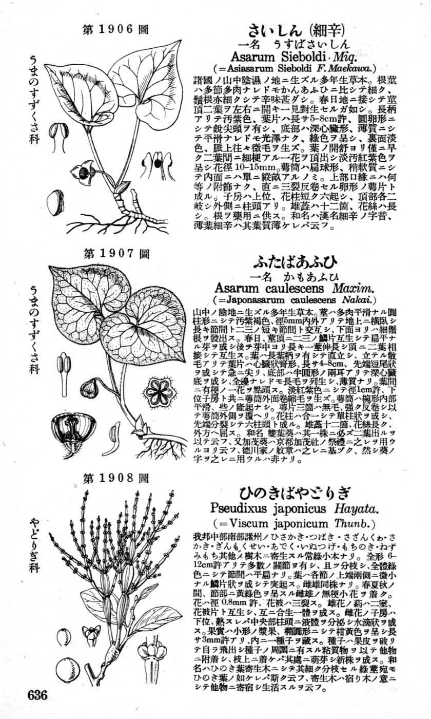 植物図鑑