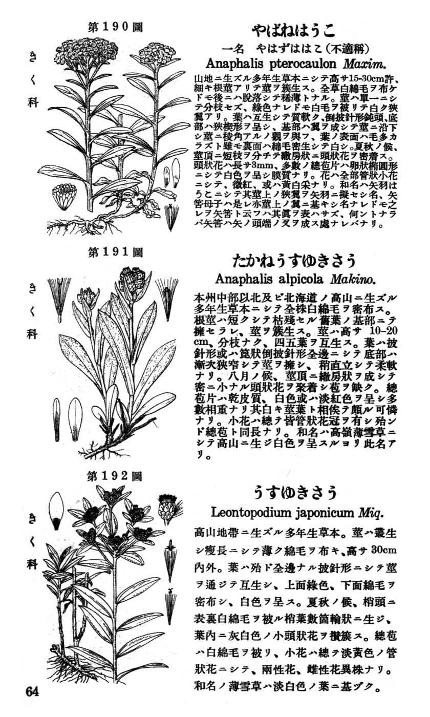 植物図鑑