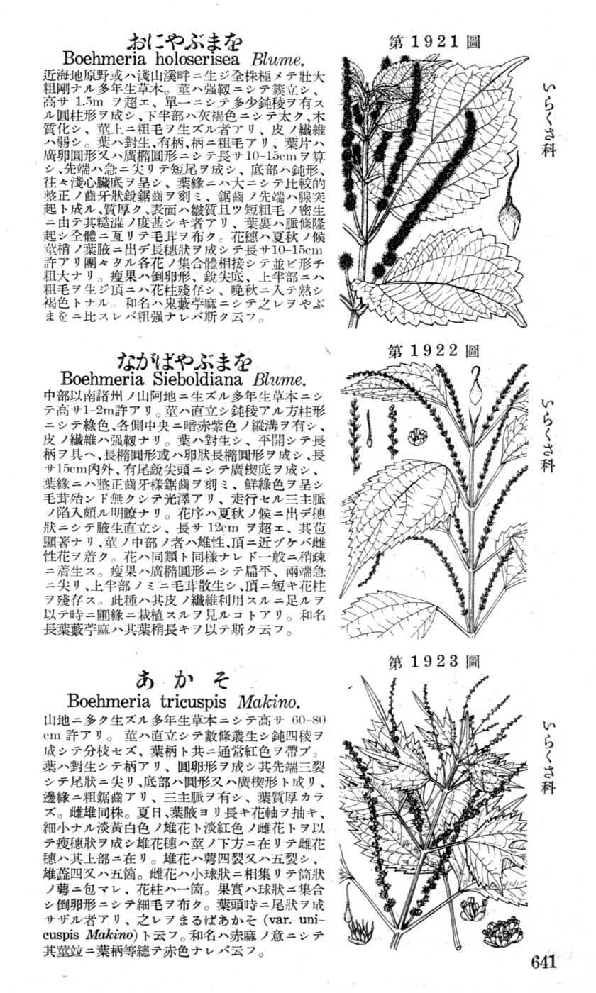 植物図鑑