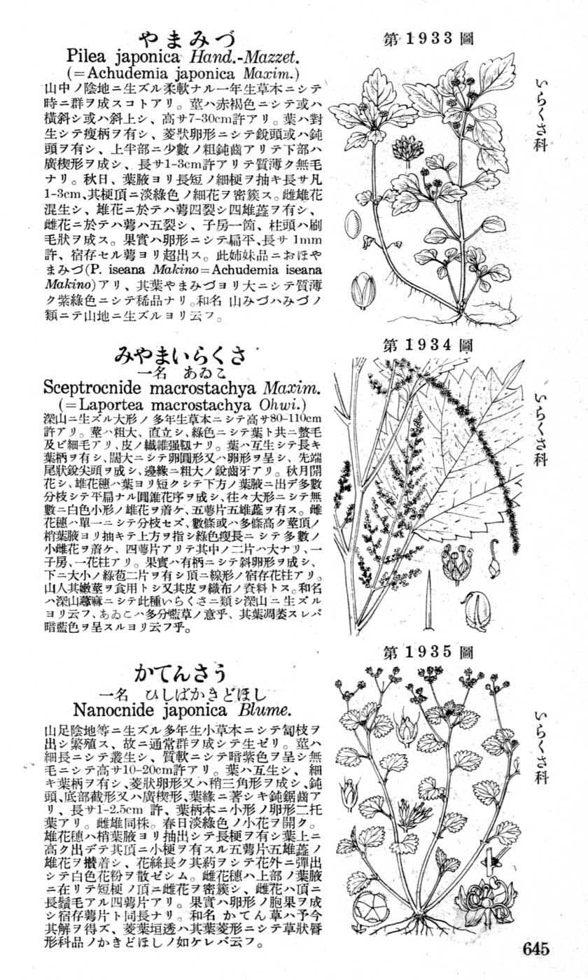 植物図鑑