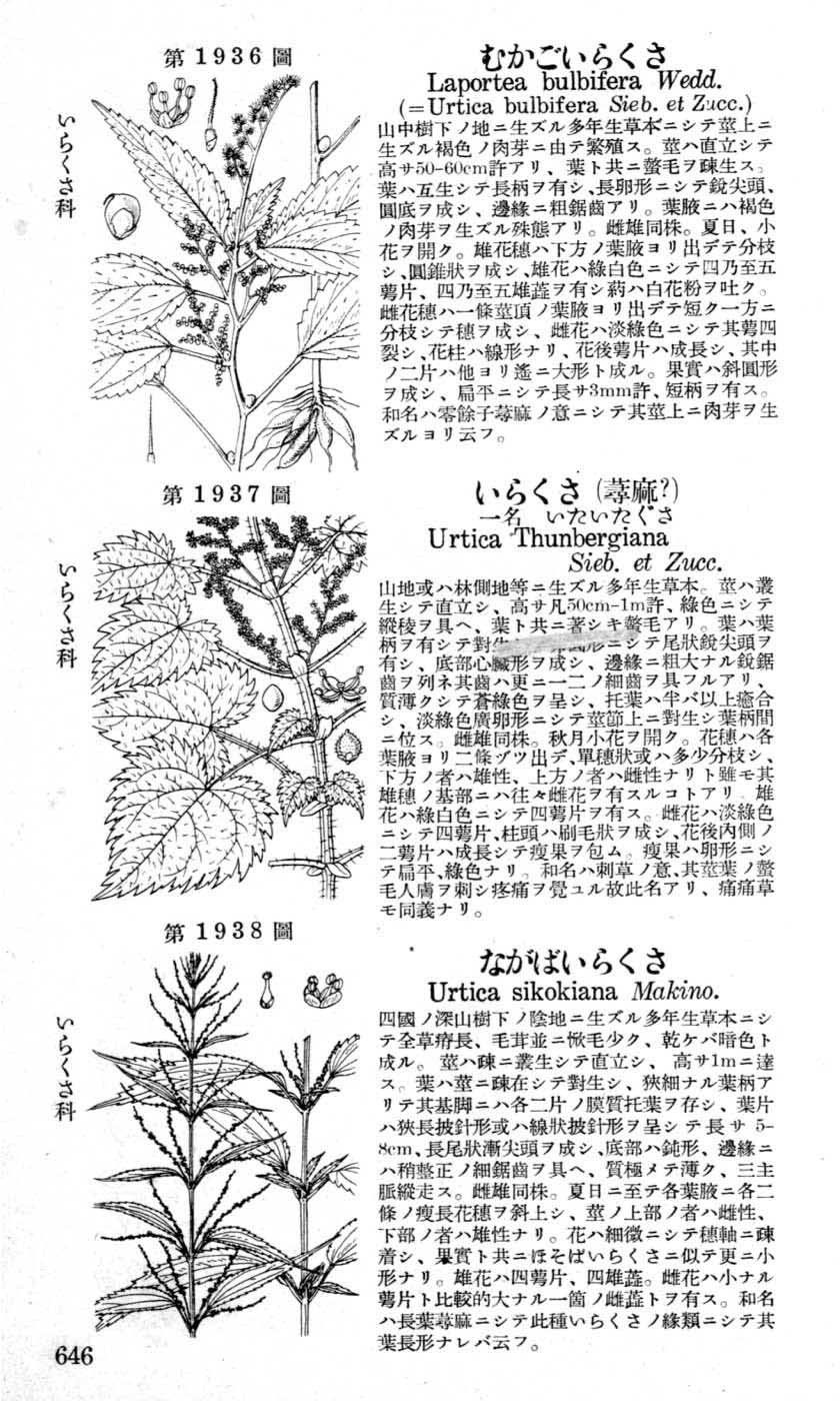 植物図鑑