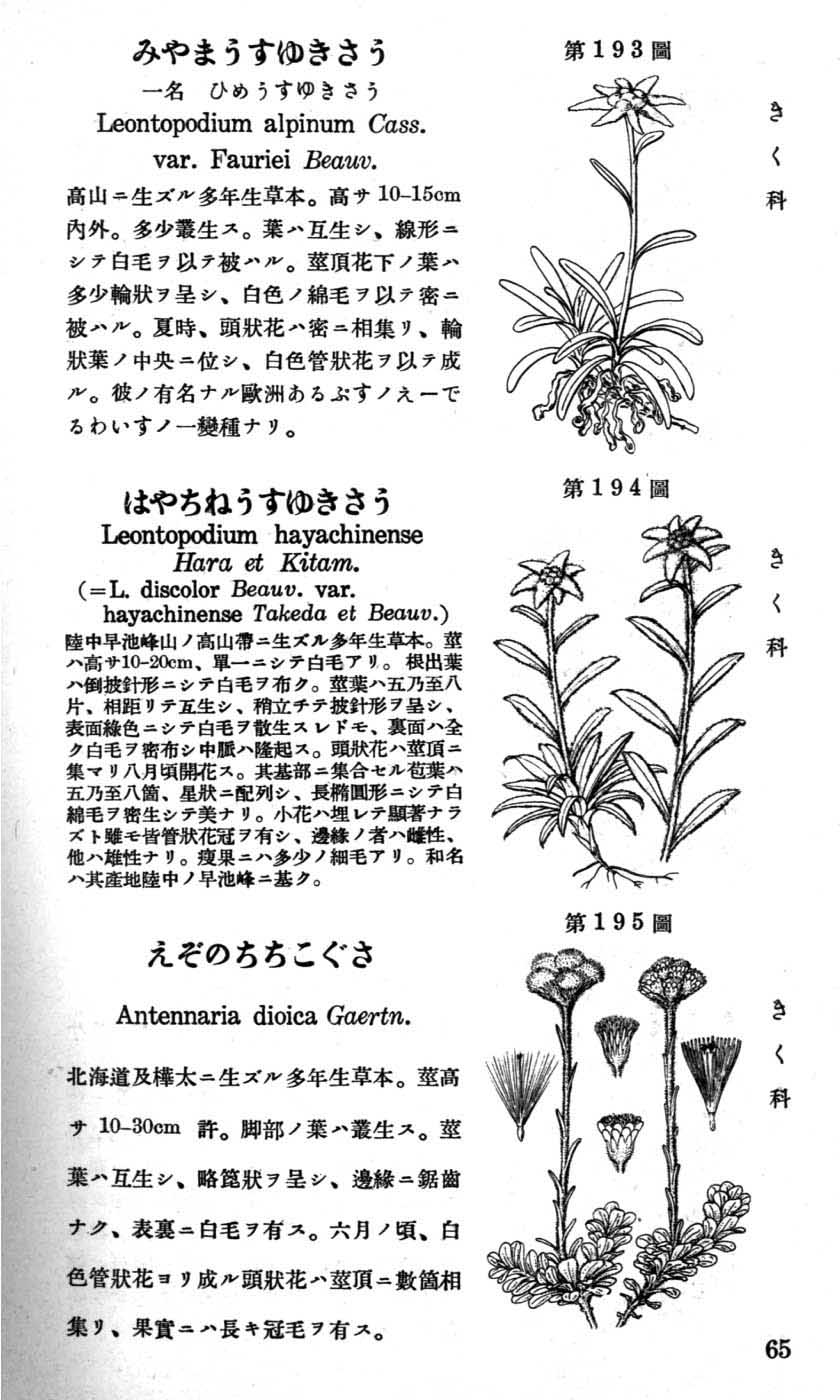 植物図鑑