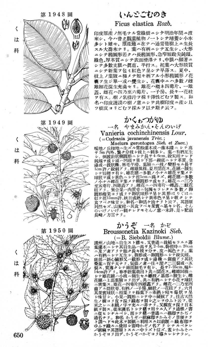 植物図鑑