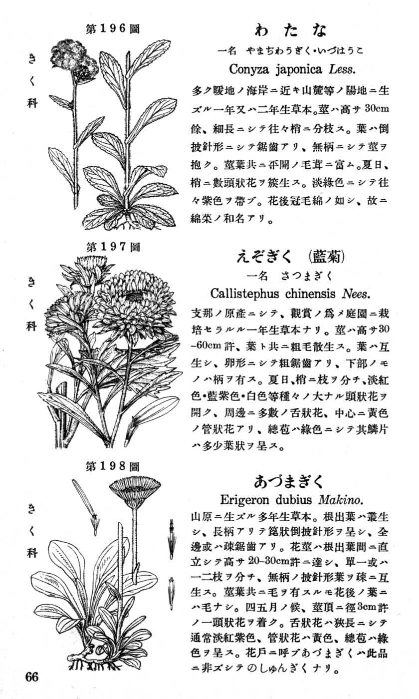 植物図鑑
