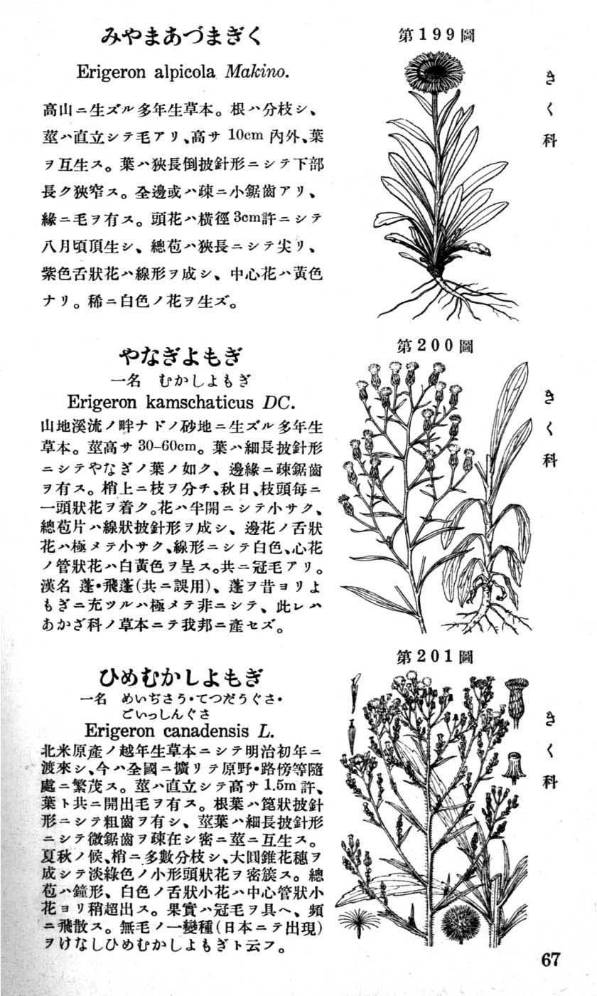 植物図鑑