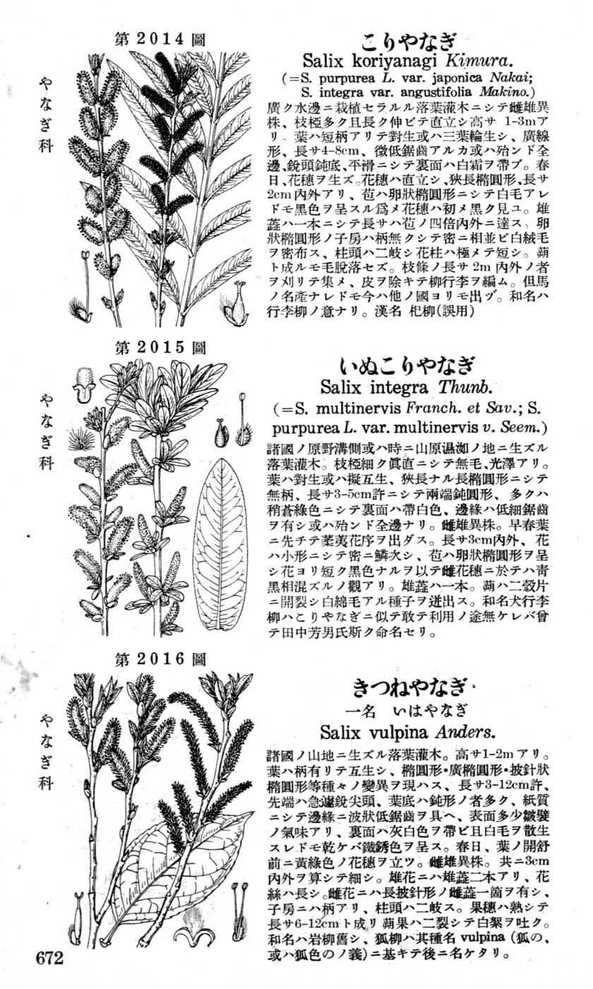 植物図鑑