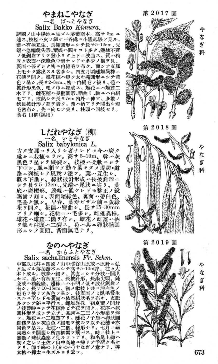 植物図鑑