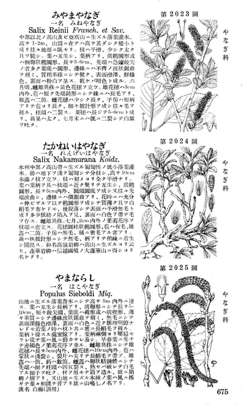 植物図鑑