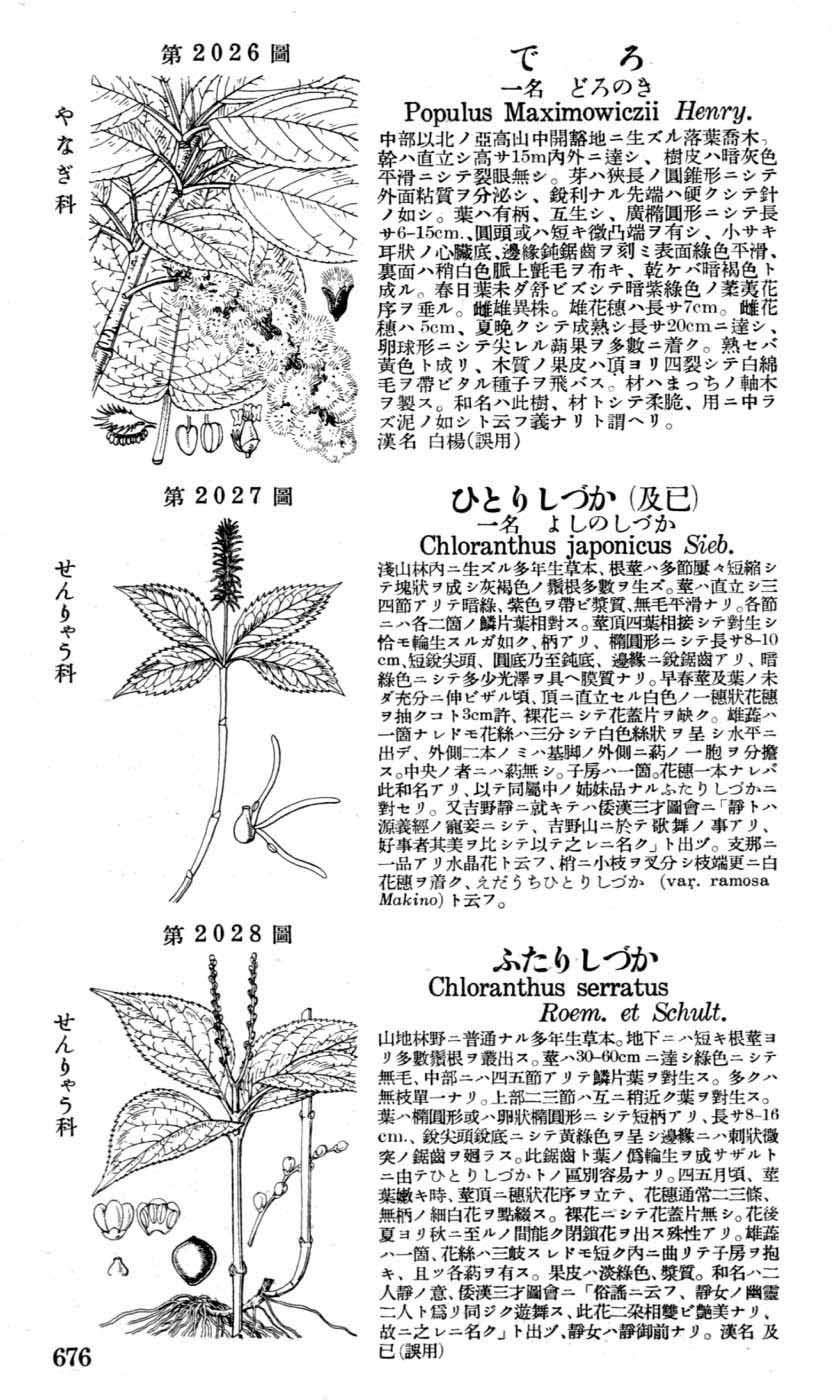 植物図鑑