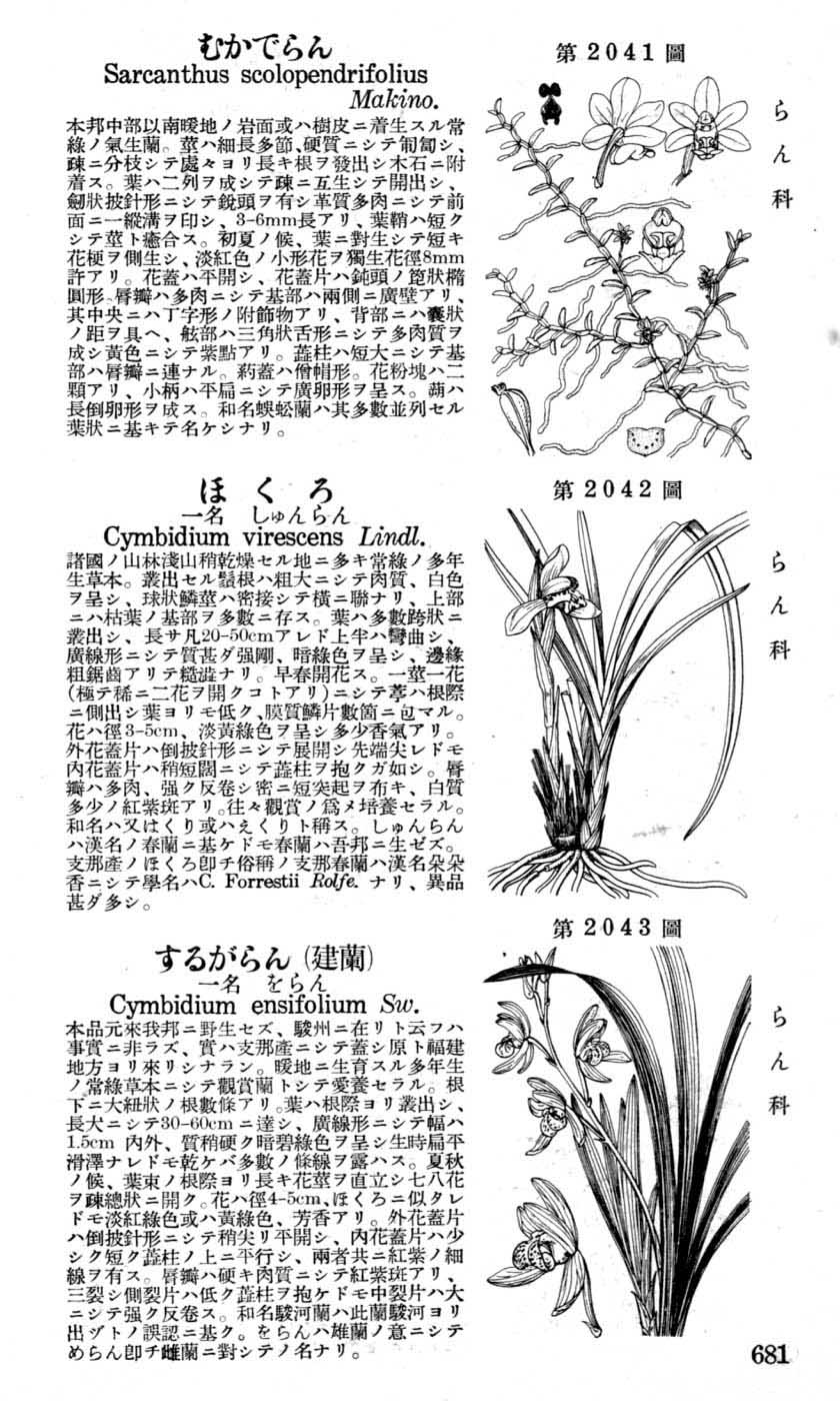 植物図鑑