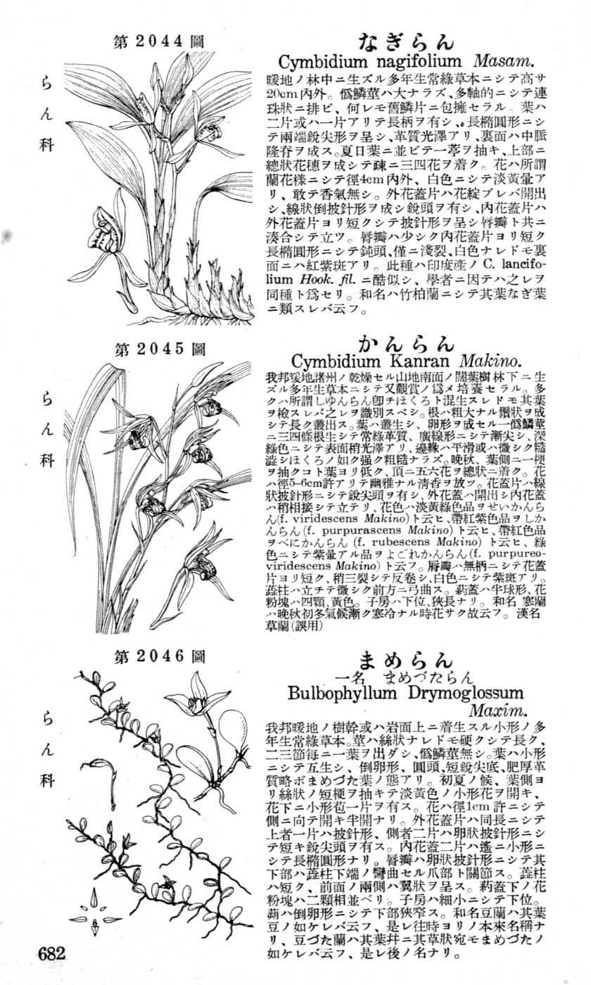 植物図鑑