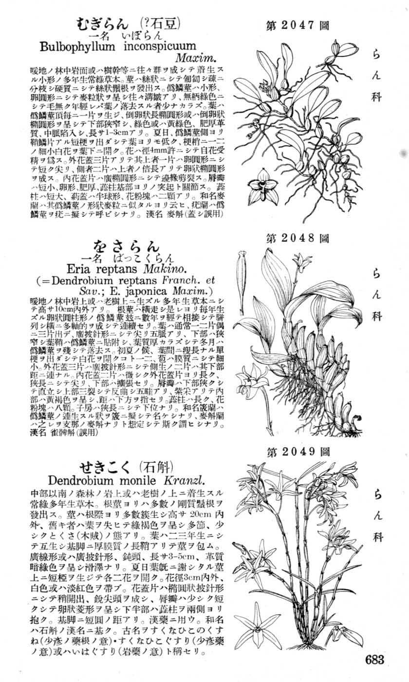 植物図鑑