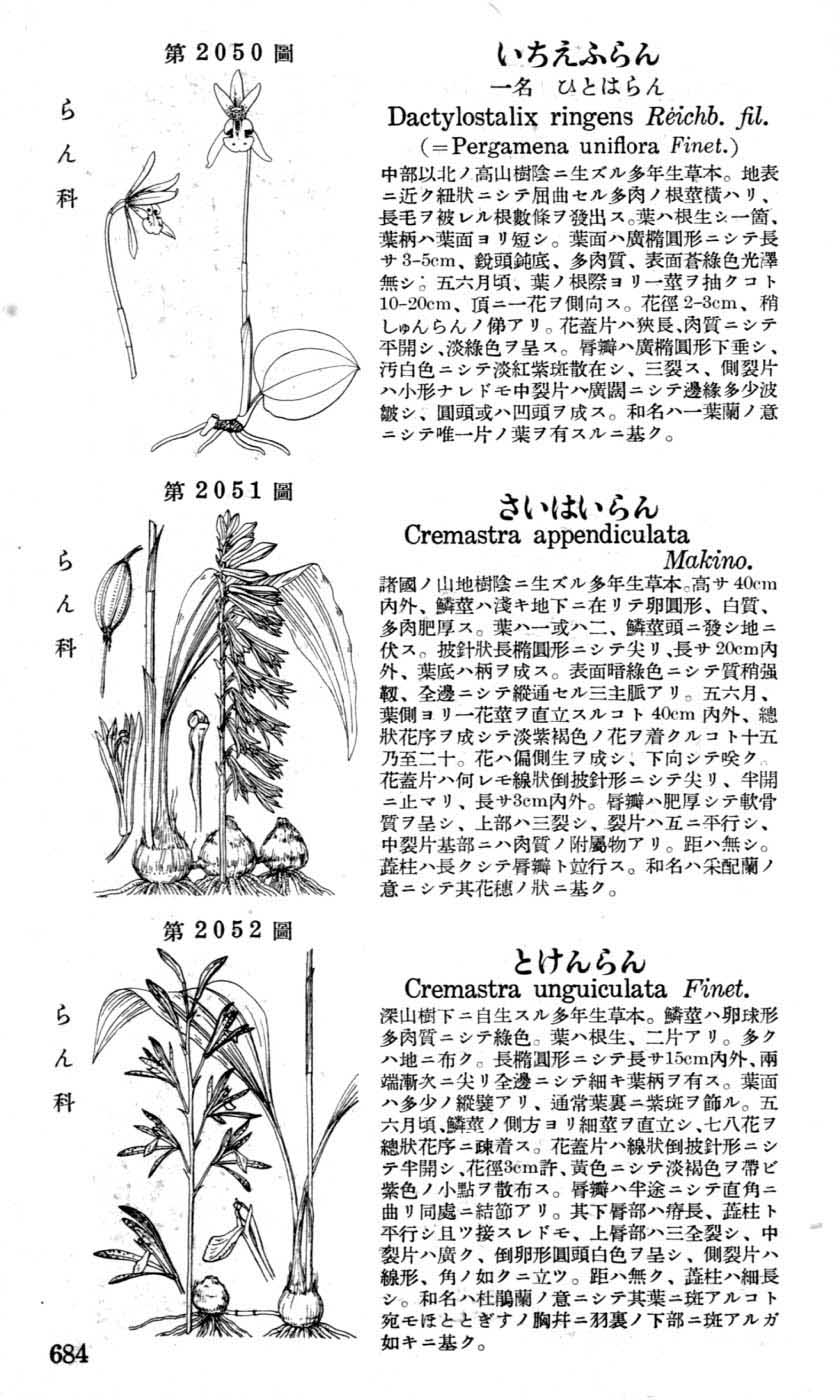 植物図鑑