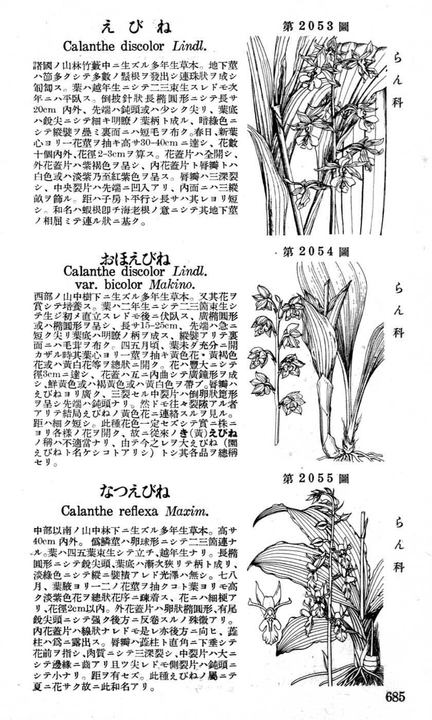 植物図鑑