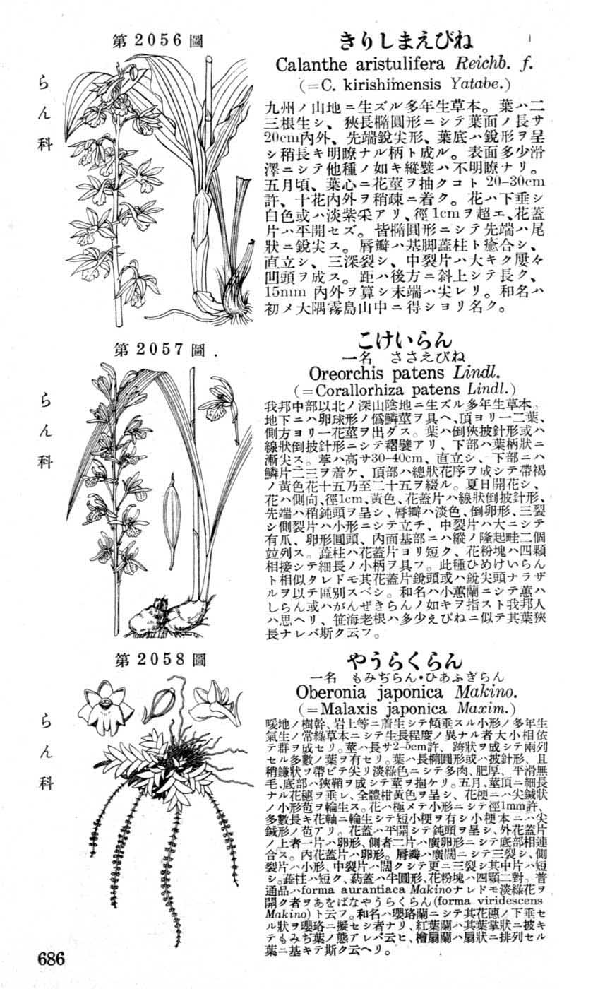 植物図鑑