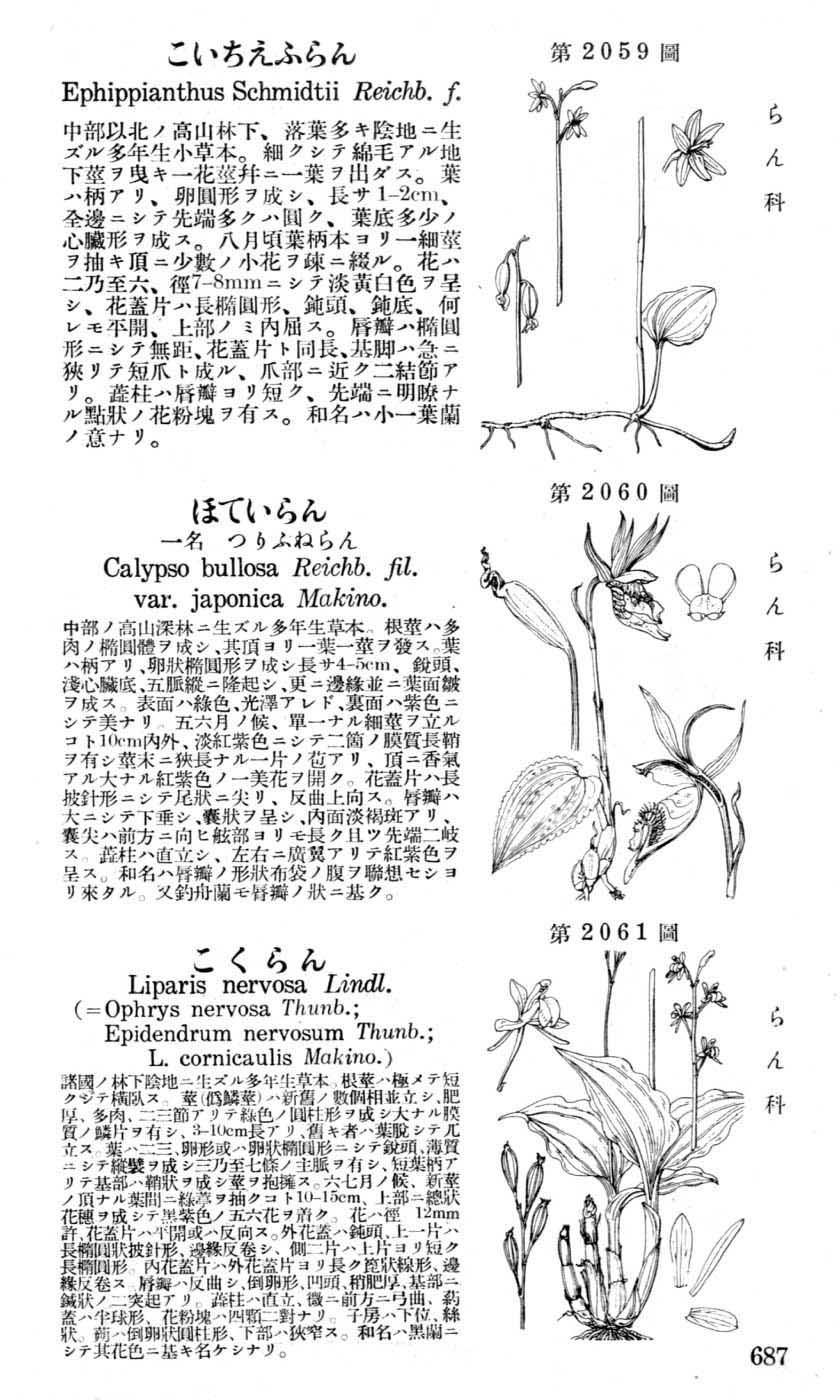 植物図鑑