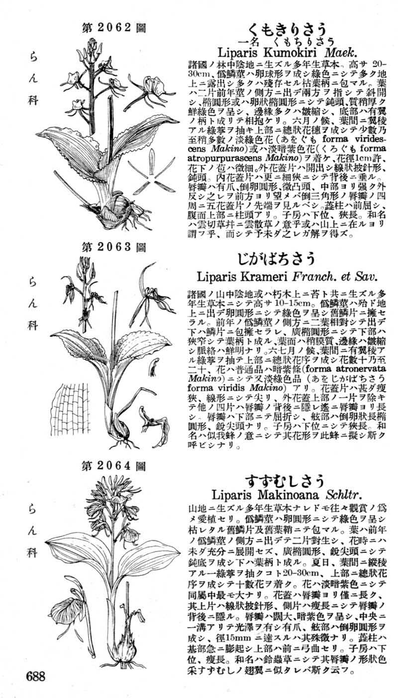 植物図鑑