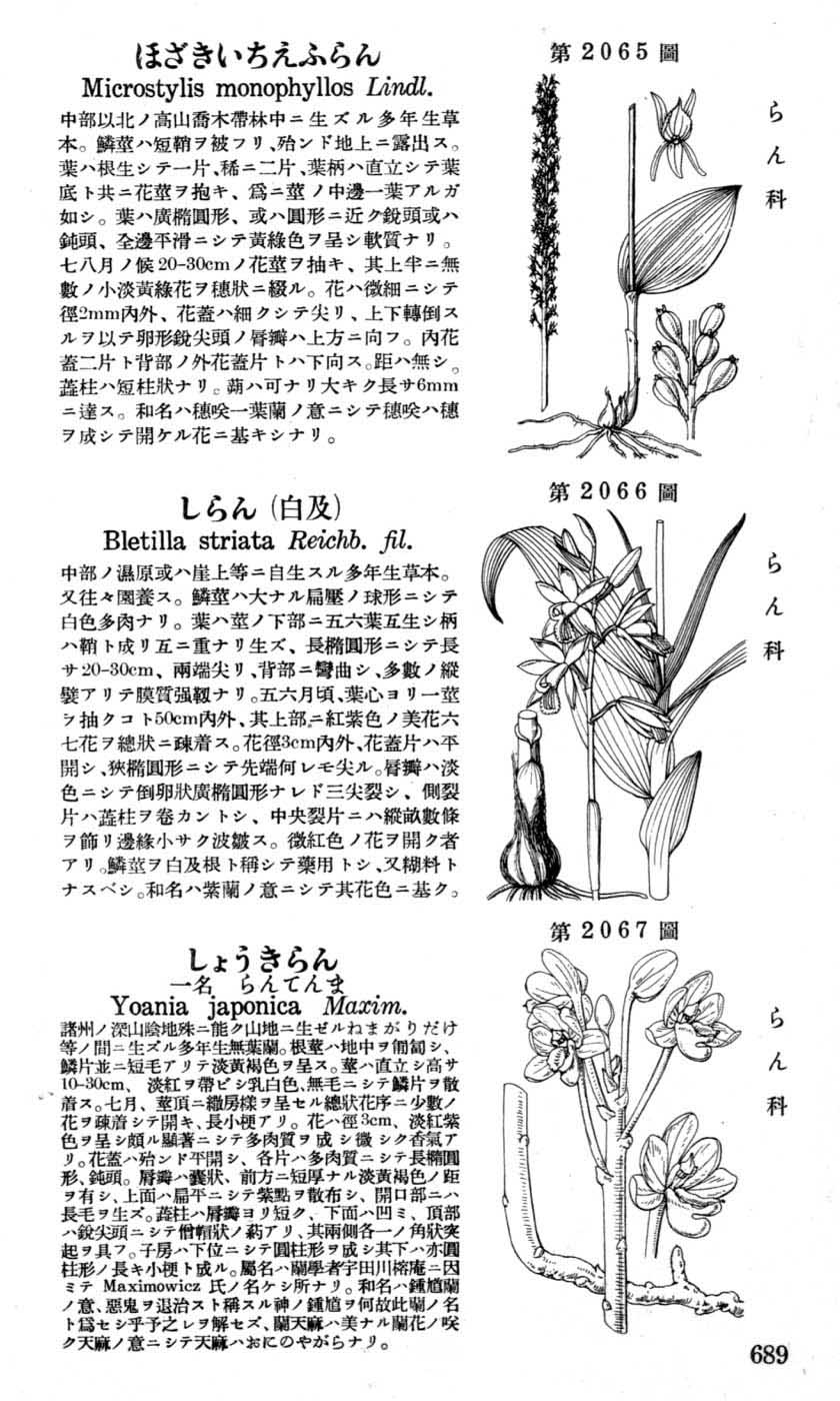 植物図鑑