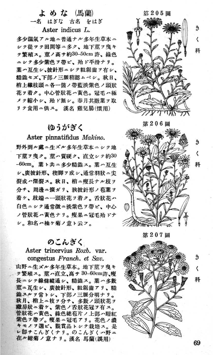 植物図鑑