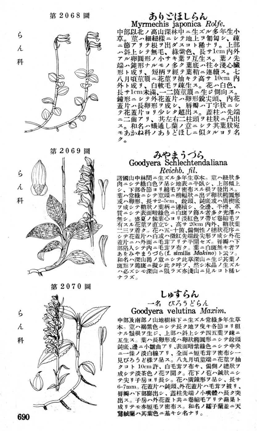 植物図鑑