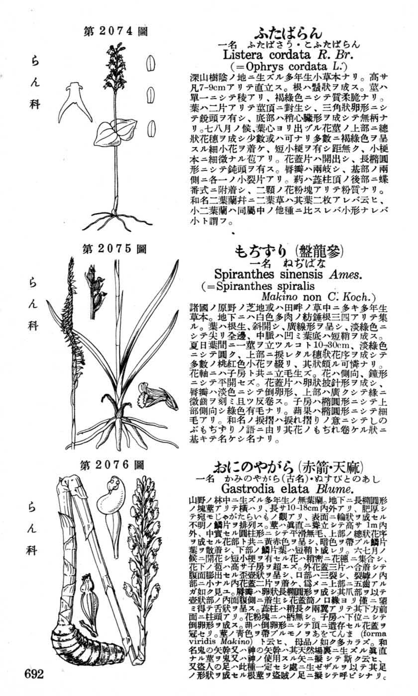 植物図鑑