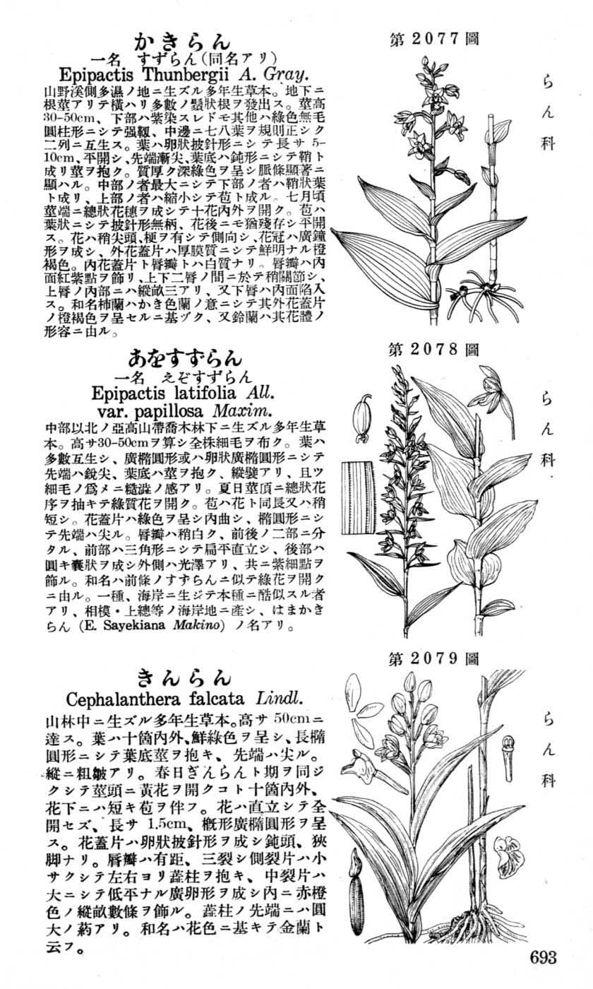 植物図鑑