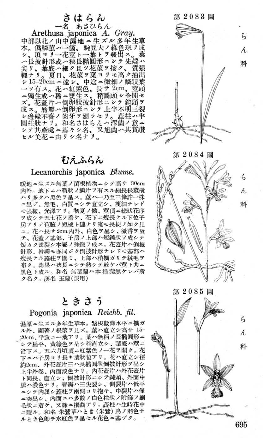 植物図鑑