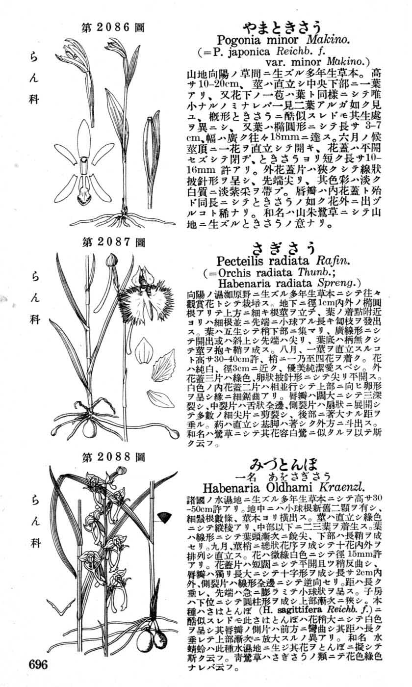 植物図鑑