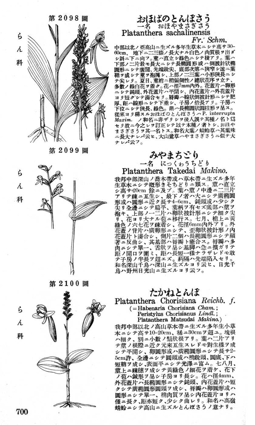 植物図鑑