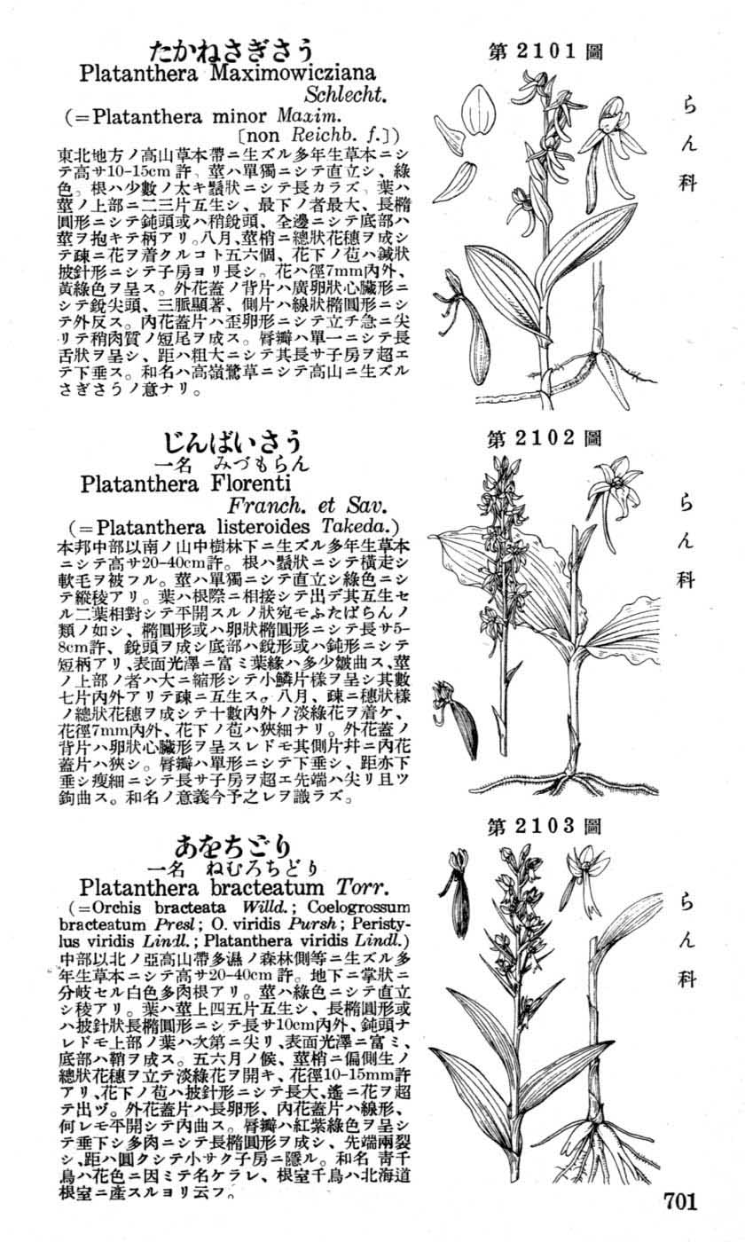 植物図鑑