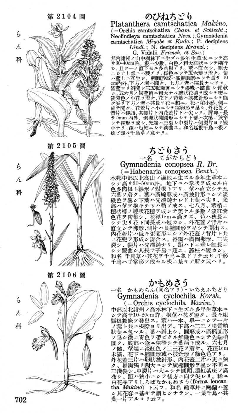 植物図鑑