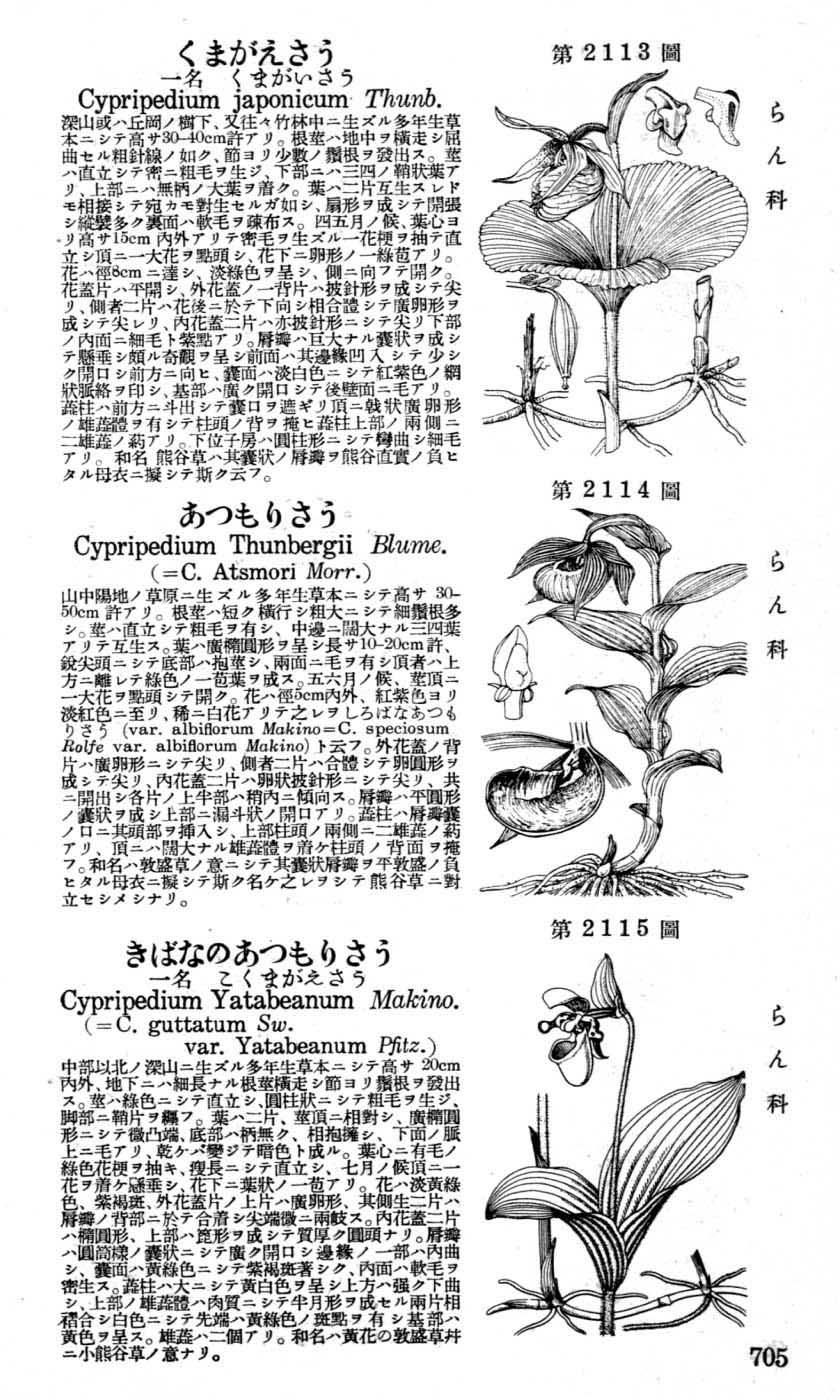 植物図鑑