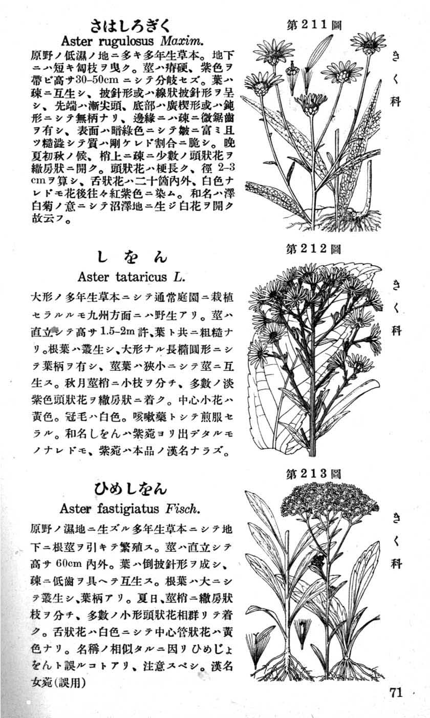 植物図鑑