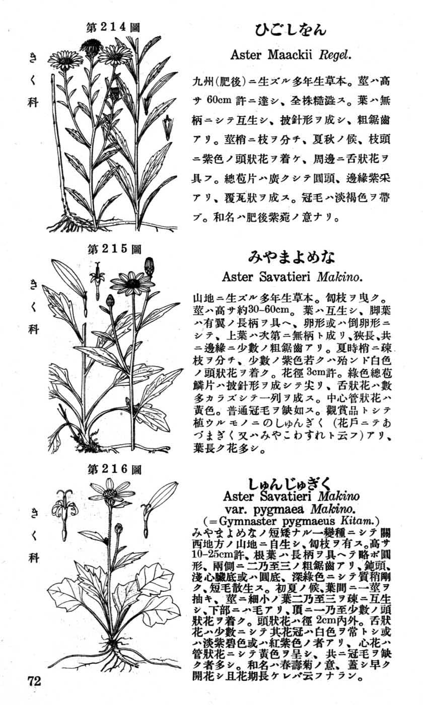 植物図鑑