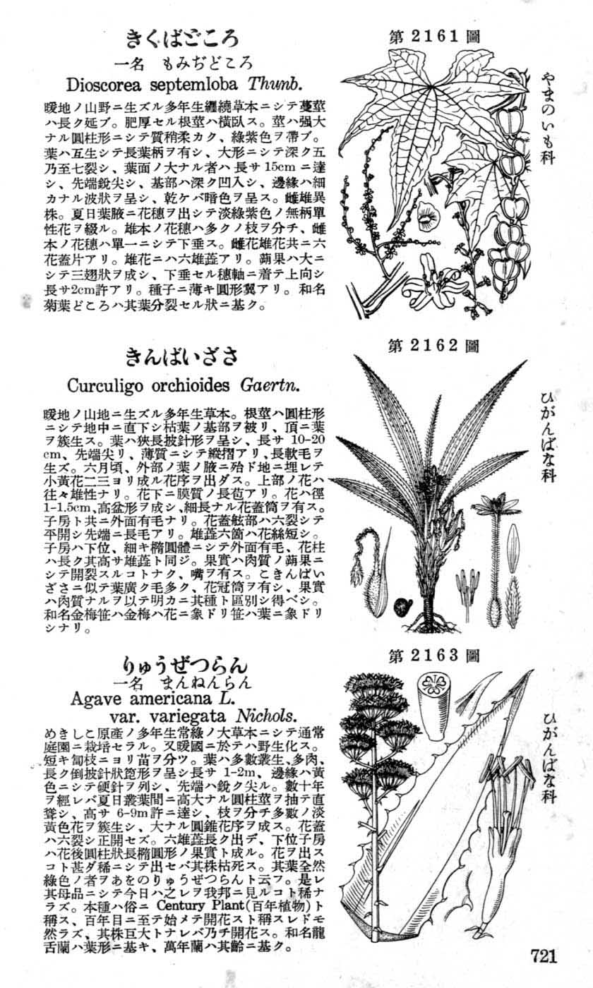 植物図鑑