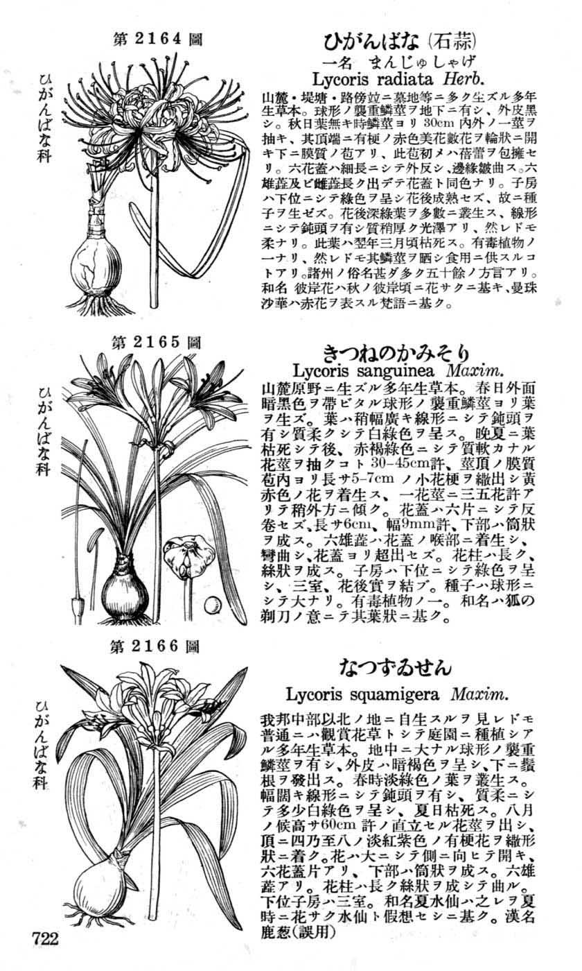 植物図鑑