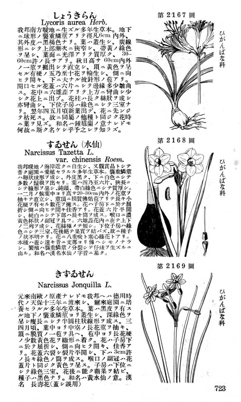 植物図鑑